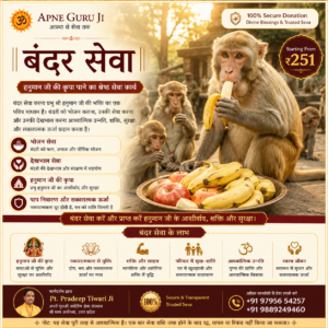 bandar seva – sacred monkey feeding & care service